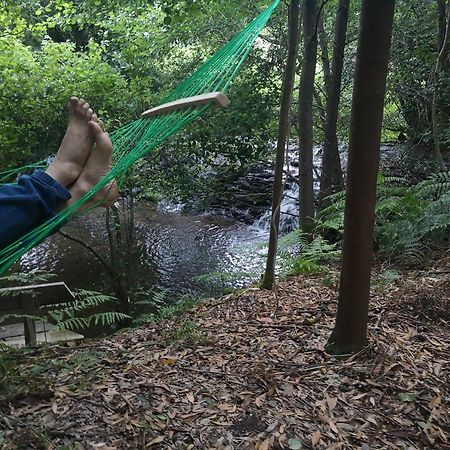 Quinta Das Aguias Aveiro Zewnętrze zdjęcie
