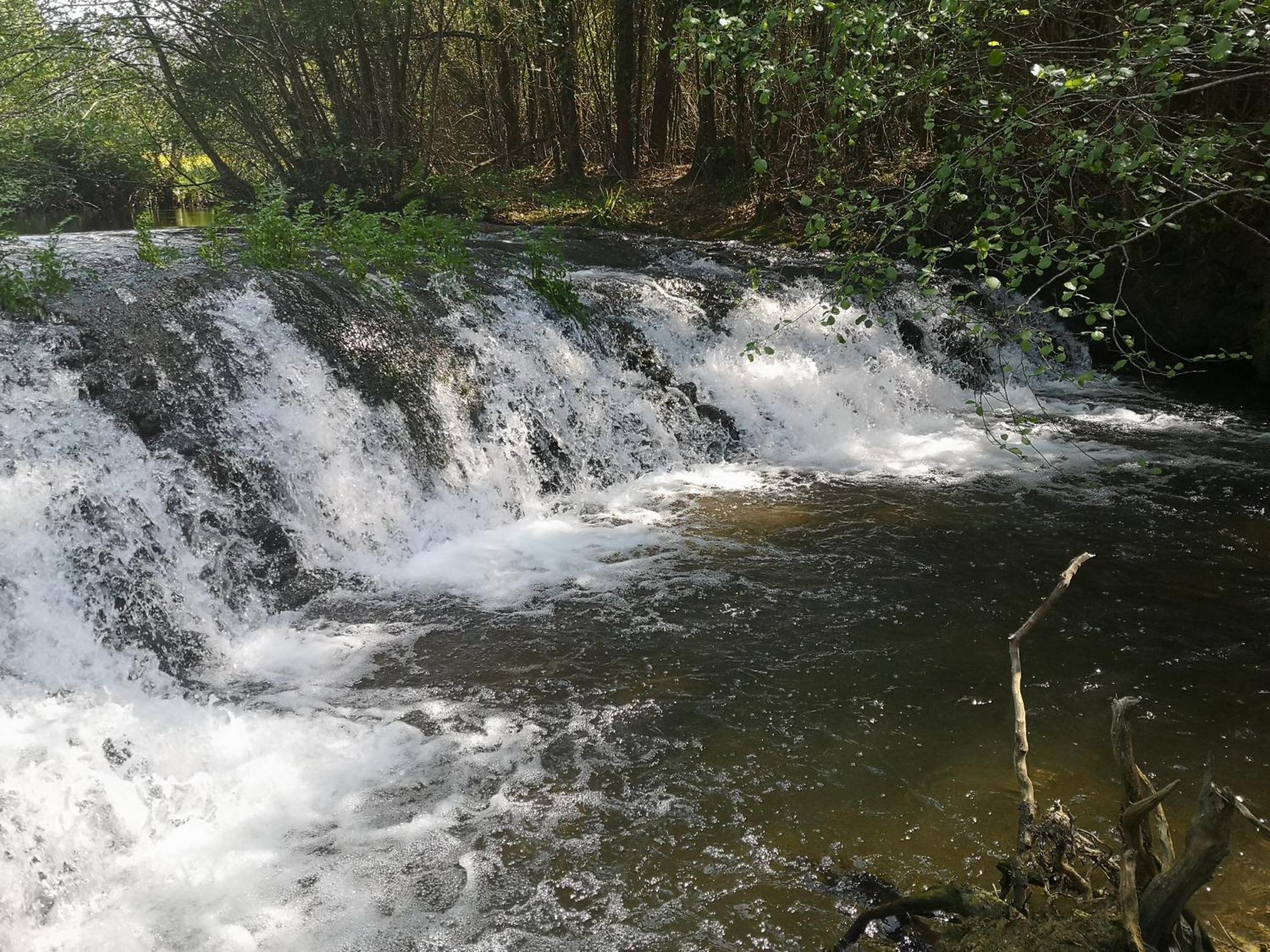 Quinta Das Aguias Aveiro Zewnętrze zdjęcie