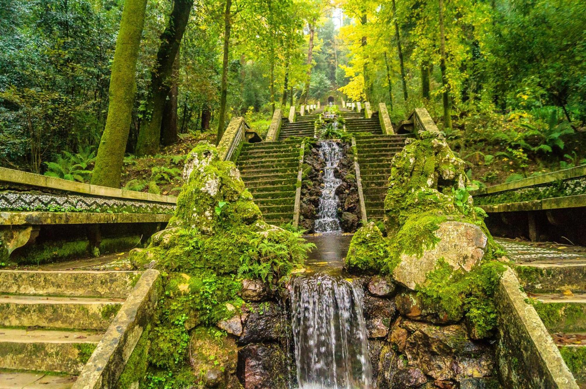 Quinta Das Aguias Aveiro Zewnętrze zdjęcie