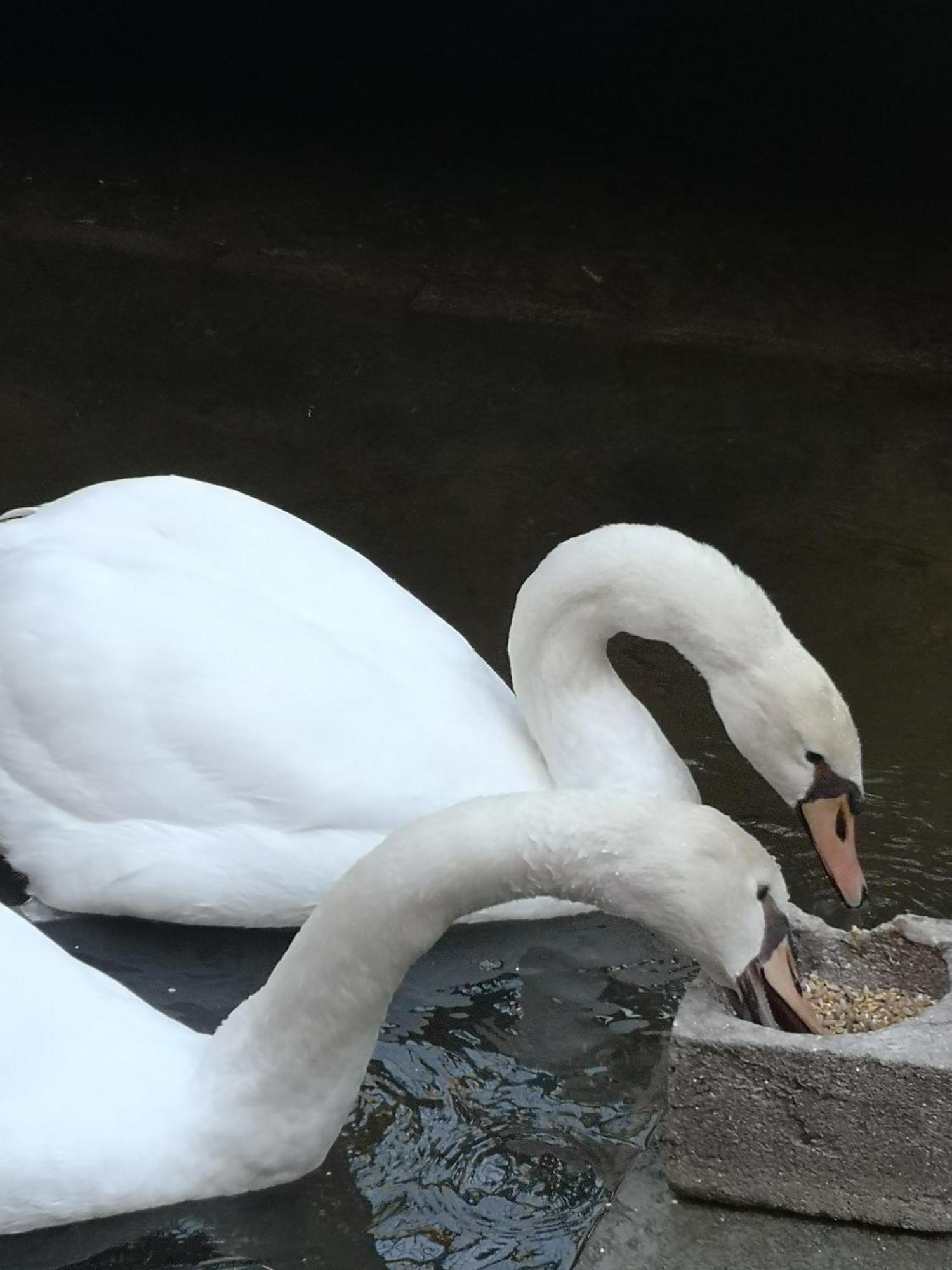 Quinta Das Aguias Aveiro Zewnętrze zdjęcie
