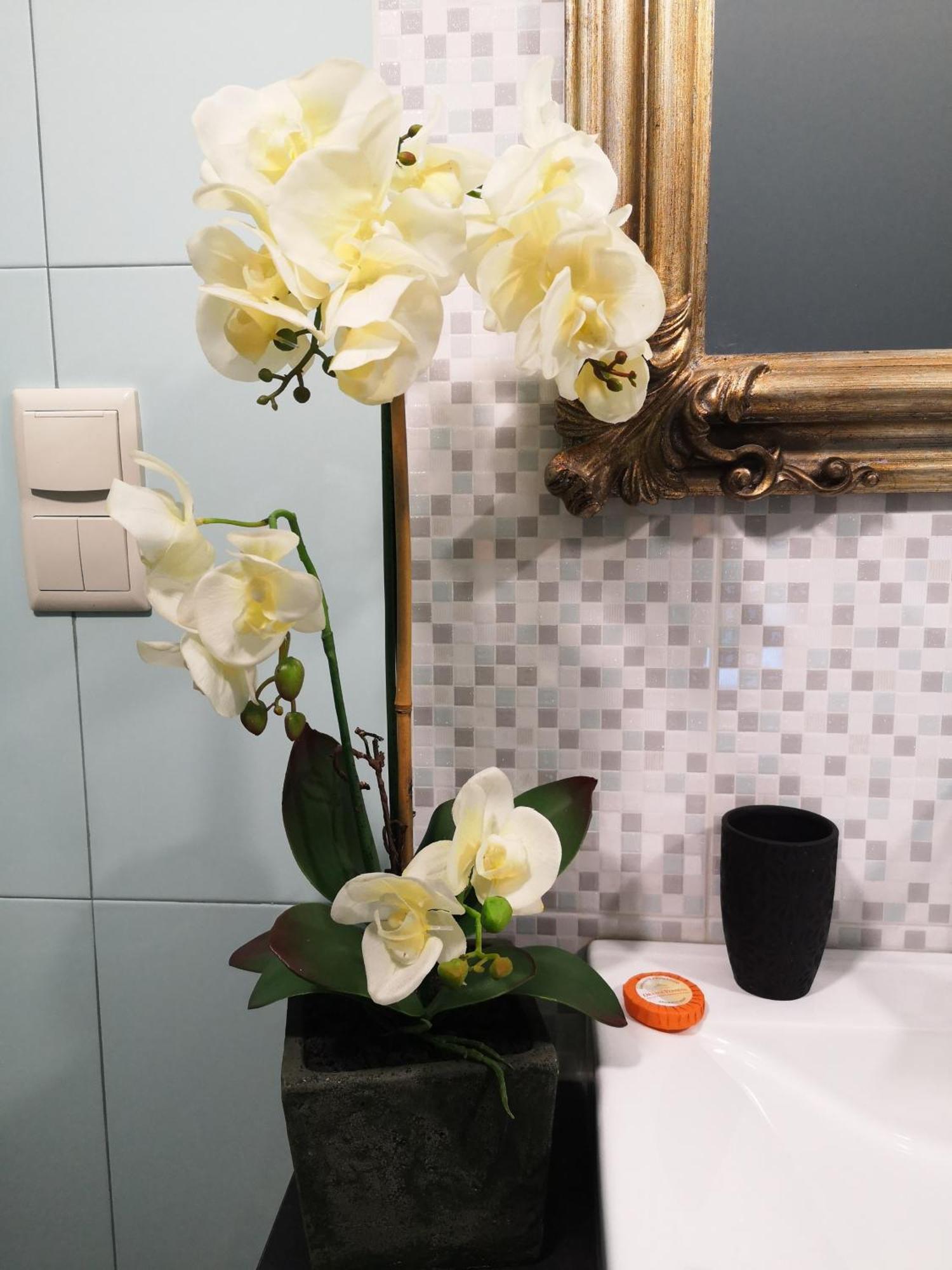 Quinta Das Aguias Aveiro Zewnętrze zdjęcie