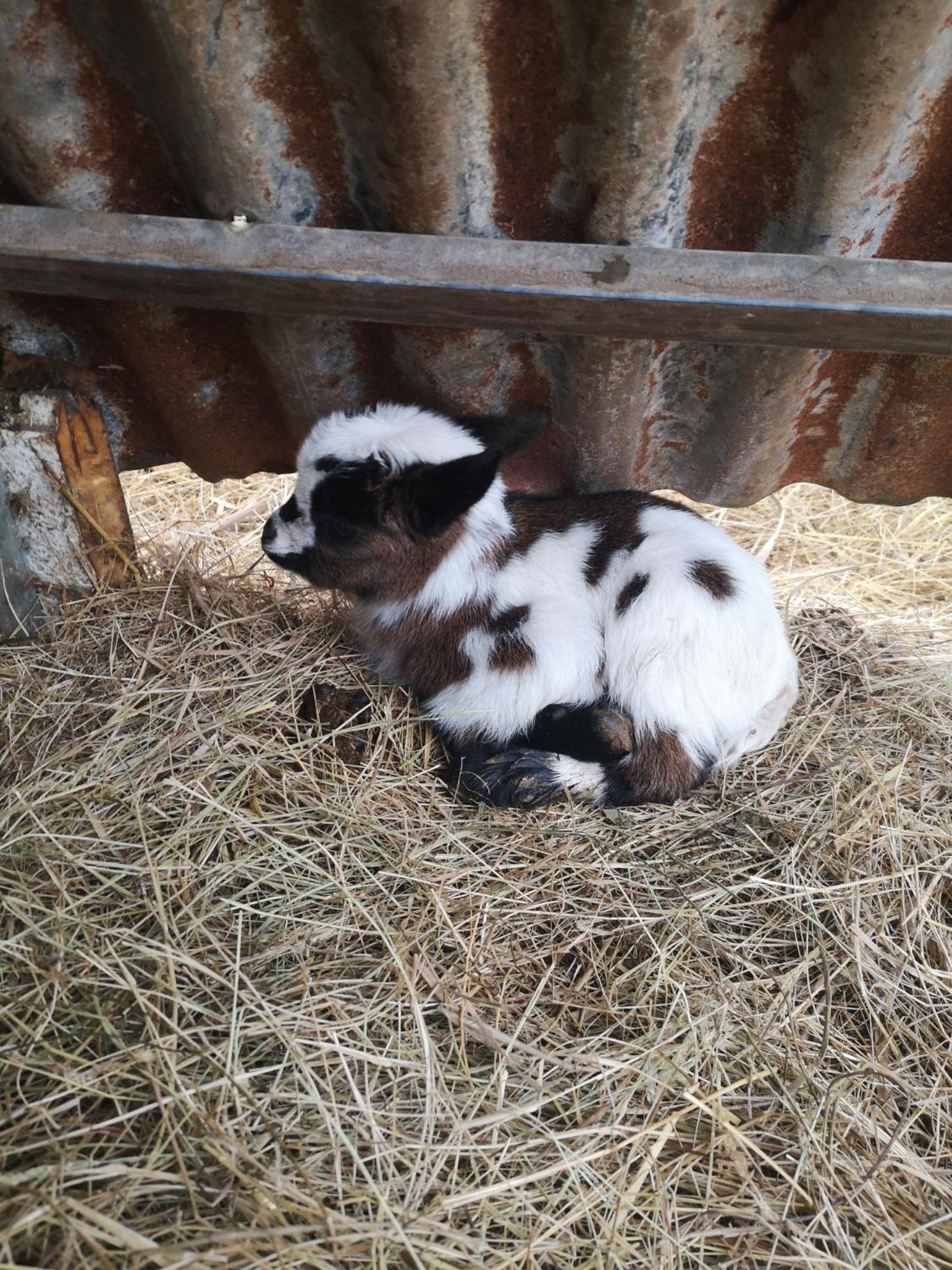 Quinta Das Aguias Aveiro Zewnętrze zdjęcie