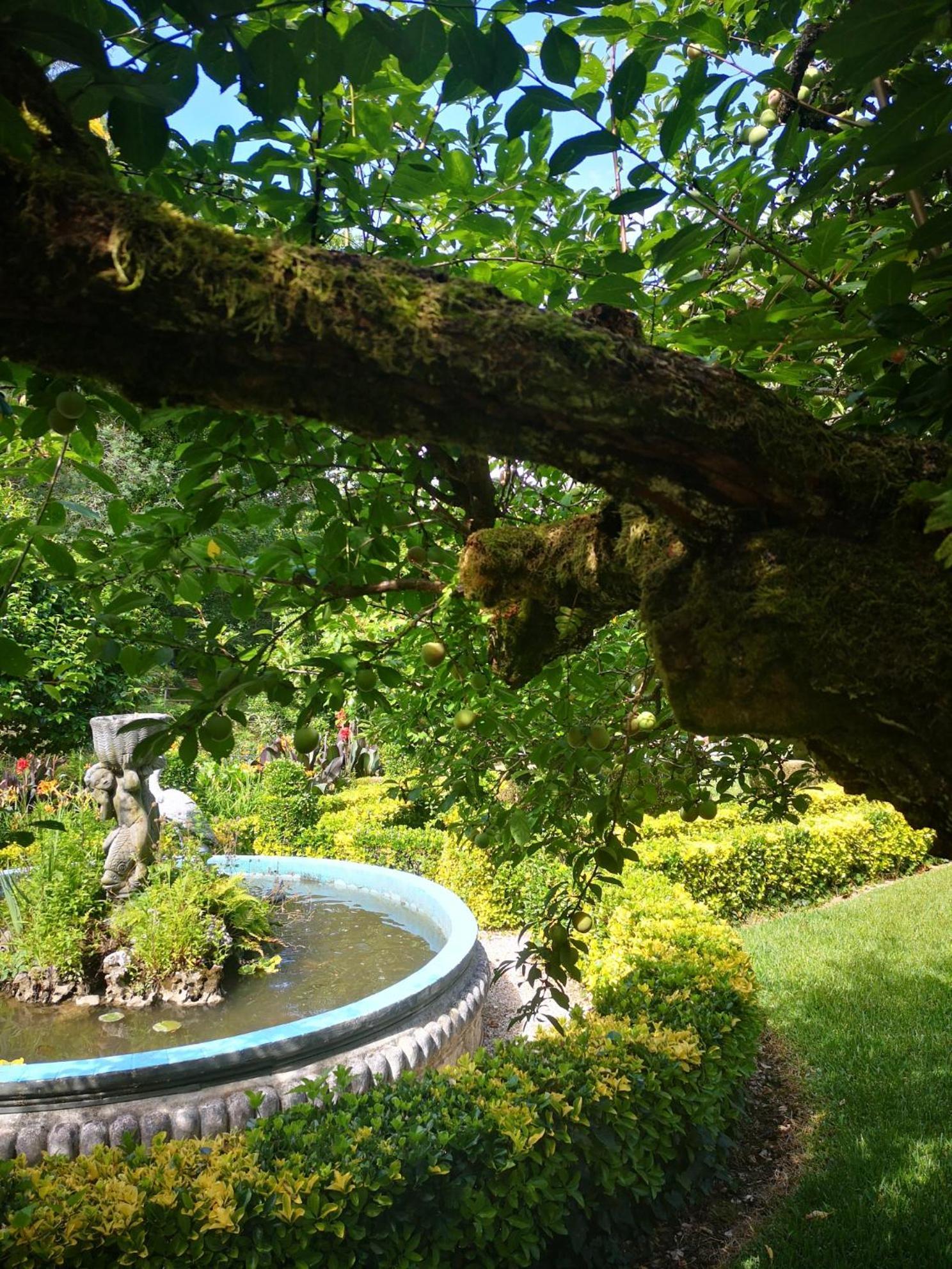 Quinta Das Aguias Aveiro Zewnętrze zdjęcie